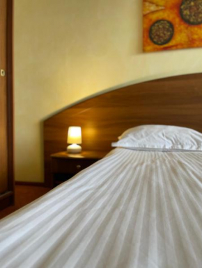  Hotel FAN Sebes  Себеш